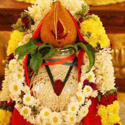 Pooja for happiness, prosperity & peace